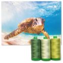 Aurifil Set Color Builders Sea Turtle 40 WT