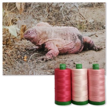 Aurifil Set Color Builders Pink Land Iguana 40 WT