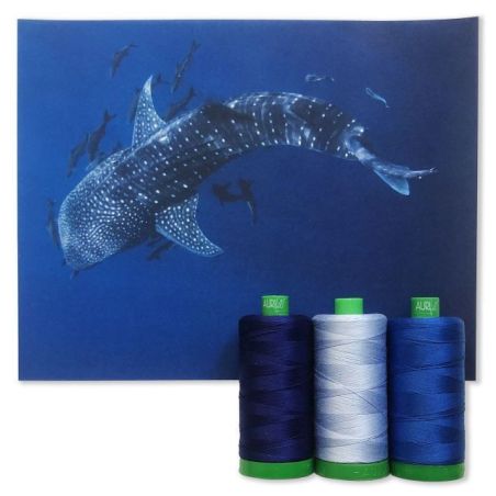 Aurifil Set Color Builders Whale Shark 40 WT