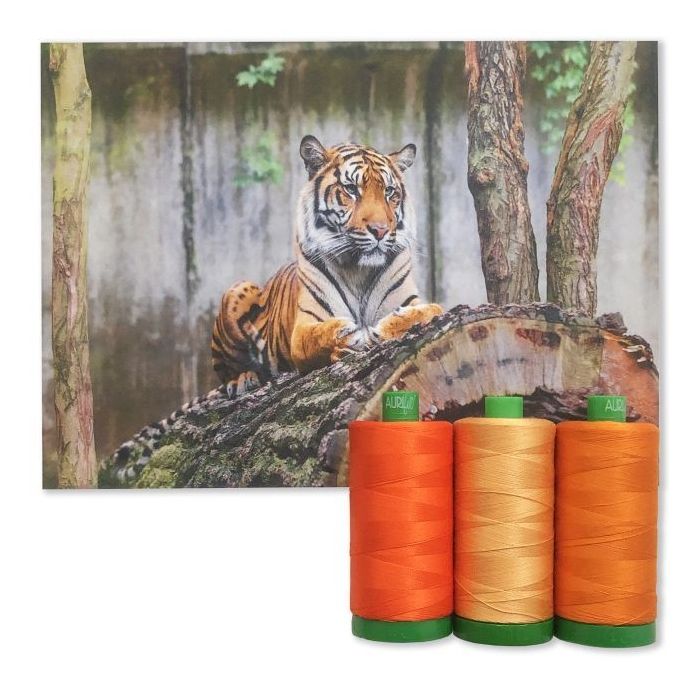 Aurifil Set Color Builders Sumatran Tiger 40 WT