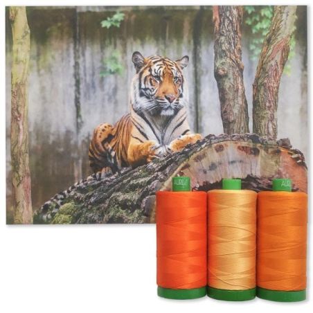 Aurifil Set Color Builders Sumatran Tiger 40 WT