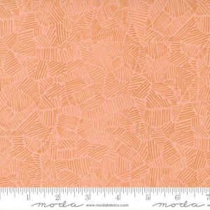 Moda Fabrics Meander Field Peach