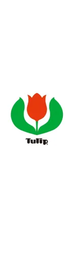 Tulip